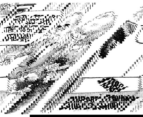 Mr. Fish's Cartoon