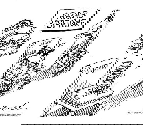 Mr. Fish's Cartoon