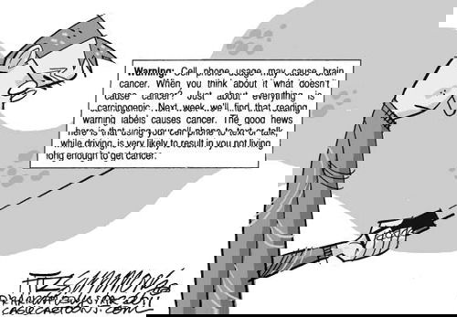 Mr. Fish's Cartoon