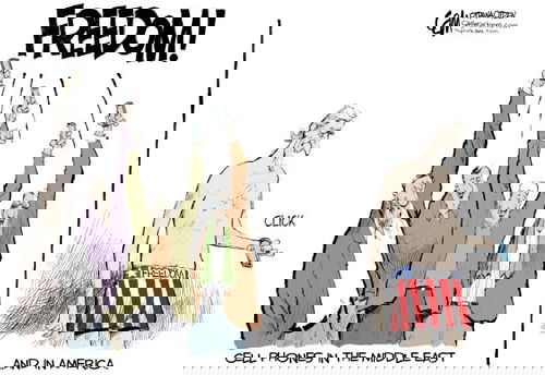 Mr. Fish's Cartoon