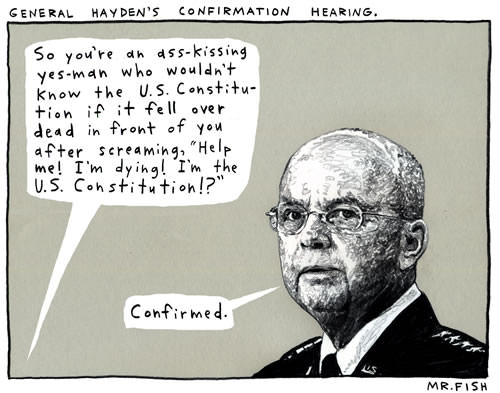Mr. Fish Cartoon Hayden Confirmation