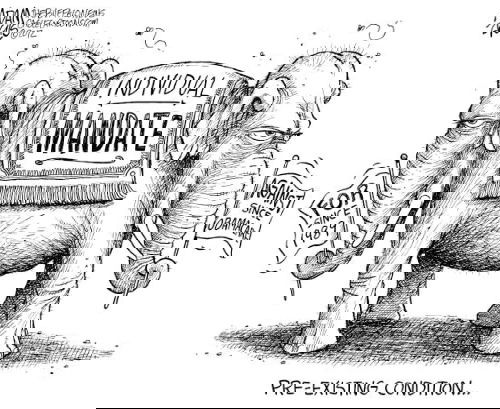 Mr. Fish's Cartoon
