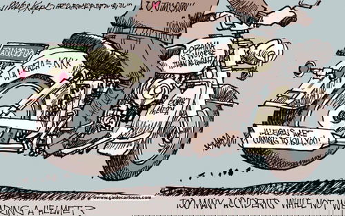 Mr. Fish's Cartoon