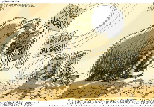 Mr. Fish's Cartoon