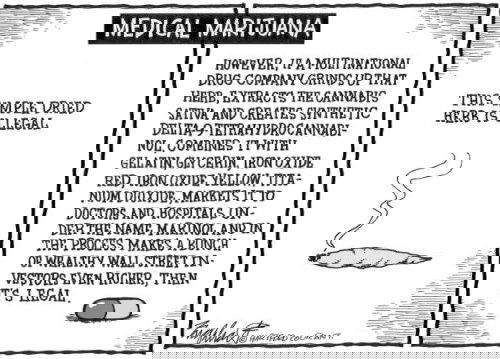 Mr. Fish's Cartoon