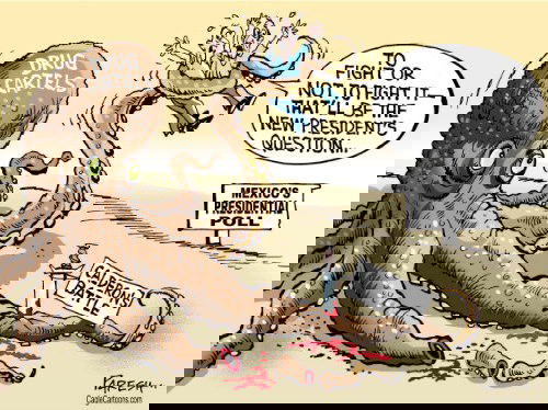 Mr. Fish's Cartoon