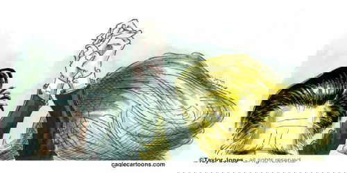 Mr. Fish's Cartoon