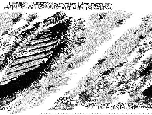 Mr. Fish's Cartoon