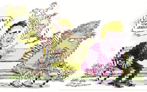 Mr. Fish's Cartoon