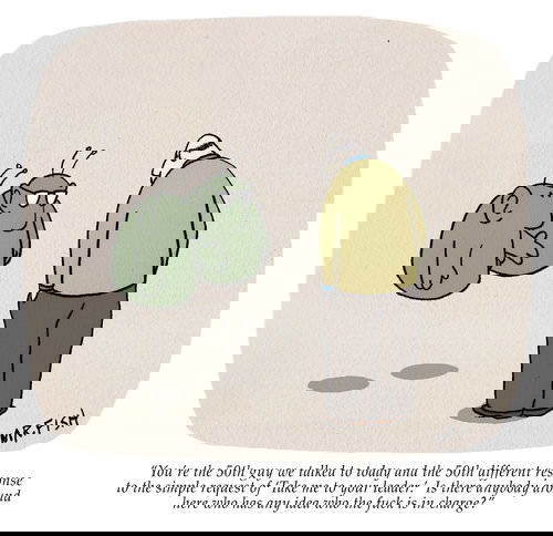 Mr. Fish's Cartoon