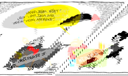 Mr. Fish's Cartoon