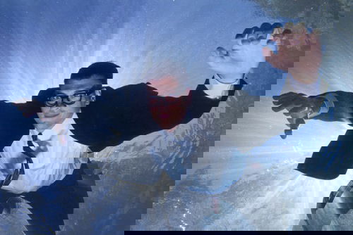 Mr. Fish / Truthdig