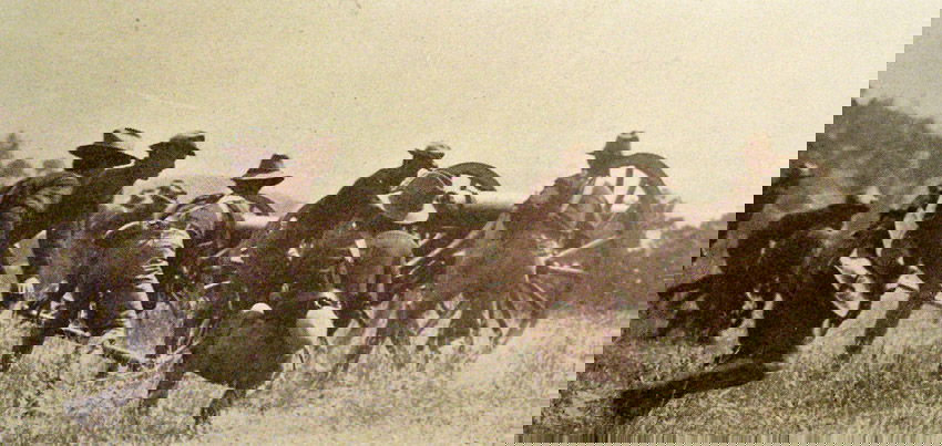 American soldiers and Moro rebels fighting in the Phillipines