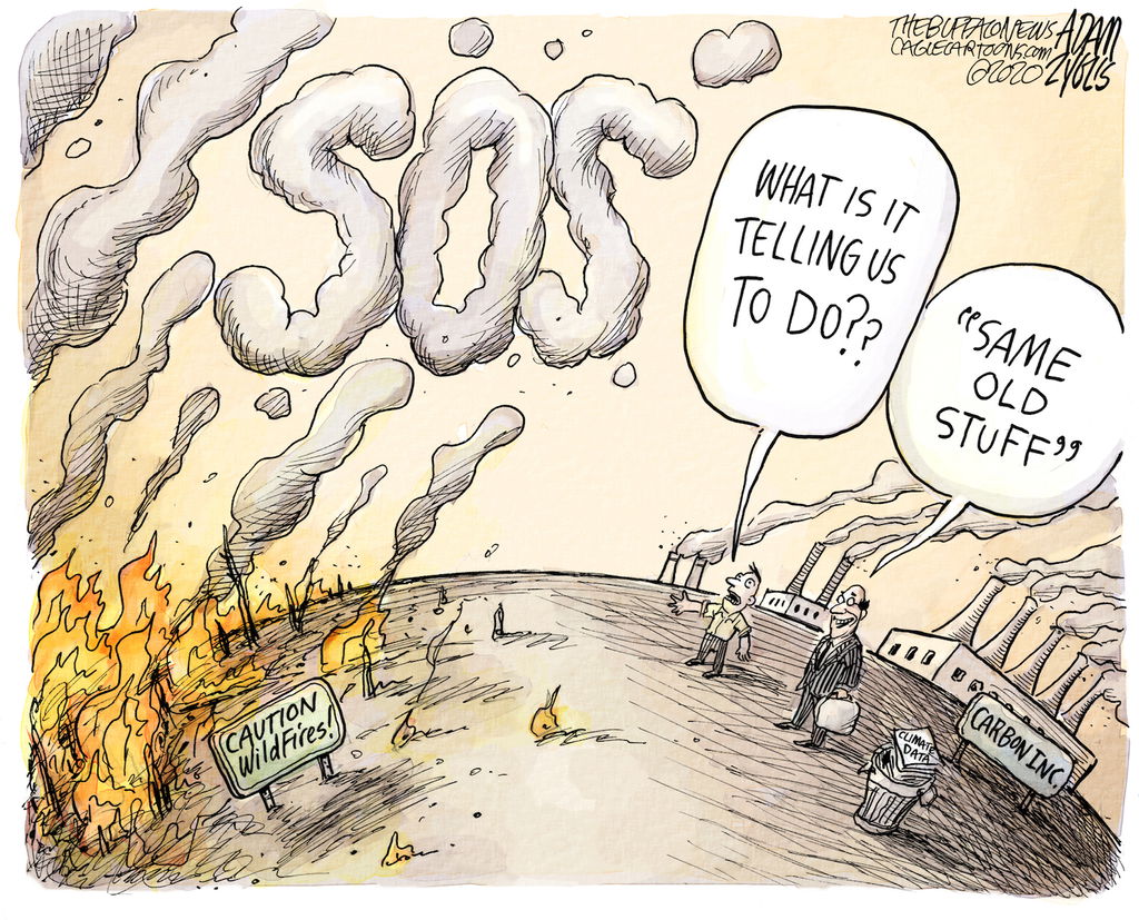 A cartoon about the Australian wildfires.