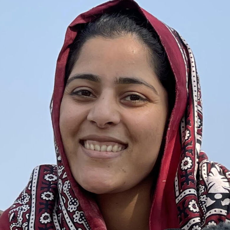 Safina Nabi / Truthdig